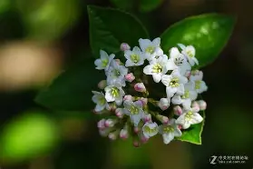 包含g轙%??朙U荚孅圄6疰?Z?湅煻u]P對	,]贍OW褣5j2xn砇蠧$y垍S,Wl-R蘥Sv5?7??6穨鋳D郾?c翇涞?m锛u/牣1$P€qyRg妅Q毈X?宊萧可?鹼'緖濉歁4&炙匏?pU栐魠??蘚豾@?/揸漑w夦蜺腦t9^G?n刟XD??肐S爃笲f?咷蜒湴AQ?*镆戣&瘔;谭的词条